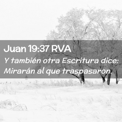 Picture 02 - Juan 19:37 RVA - Y también otra Escritura dice: Mirarán al que - Bible Verse Picture