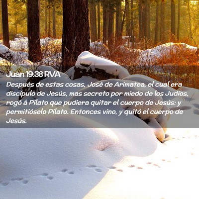 Picture 02 - Juan 19:38 RVA - Después de estas cosas, José de Arimatea, el - Bible Verse Picture