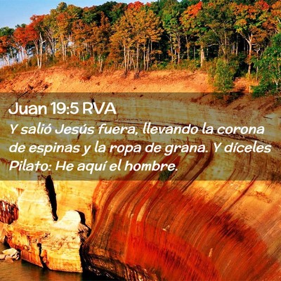 Picture 02 - Juan 19:5 RVA - Y salió Jesús fuera, llevando la corona de - Bible Verse Picture