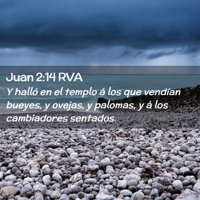 Picture 02 - Juan 2:14 RVA - Y halló en el templo á los que vendían bueyes, - Bible Verse Picture