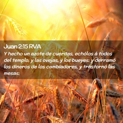 Picture 02 - Juan 2:15 RVA - Y hecho un azote de cuerdas, echólos á todos - Bible Verse Picture