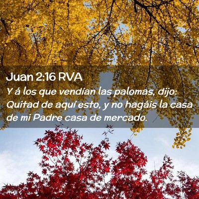 Picture 02 - Juan 2:16 RVA - Y á los que vendían las palomas, dijo: Quitad - Bible Verse Picture