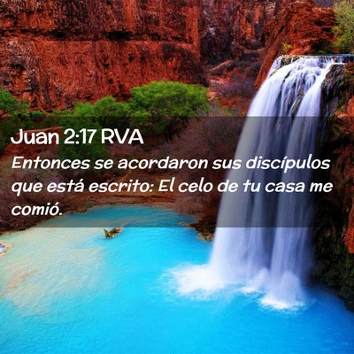 Picture 02 - Juan 2:17 RVA - Entonces se acordaron sus discípulos que está - Bible Verse Picture