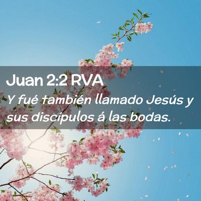 Picture 02 - Juan 2:2 RVA - Y fué también llamado Jesús y sus discípulos - Bible Verse Picture