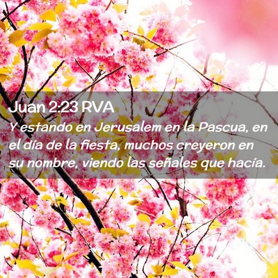 Picture 02 - Juan 2:23 RVA - Y estando en Jerusalem en la Pascua, en el día - Bible Verse Picture