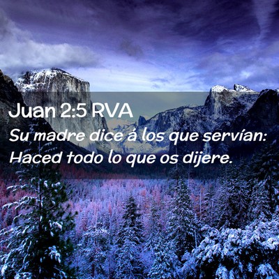 Picture 02 - Juan 2:5 RVA - Su madre dice á los que servían: Haced todo lo - Bible Verse Picture