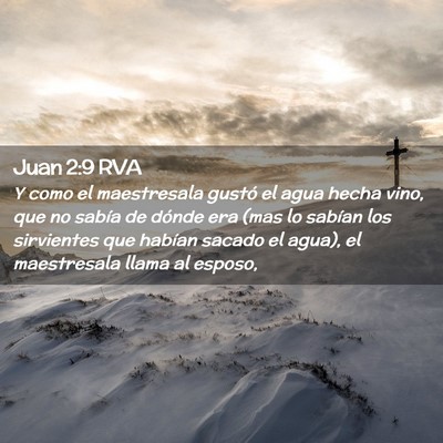 Picture 02 - Juan 2:9 RVA - Y como el maestresala gustó el agua hecha vino, - Bible Verse Picture