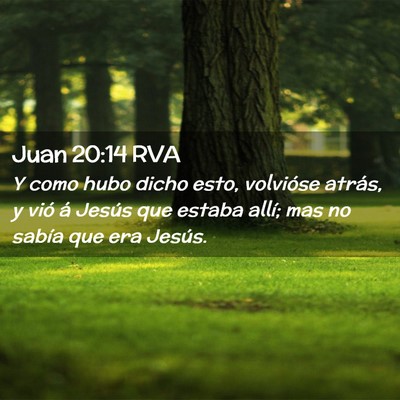 Picture 02 - Juan 20:14 RVA - Y como hubo dicho esto, volvióse atrás, y vió - Bible Verse Picture