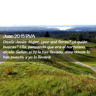 Picture 02 - Juan 20:15 RVA - Dícele Jesús: Mujer, ¿por qué lloras? ¿á - Bible Verse Picture