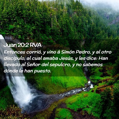 Picture 02 - Juan 20:2 RVA - Entonces corrió, y vino á Simón Pedro, y al - Bible Verse Picture