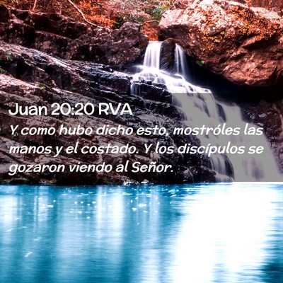 Picture 02 - Juan 20:20 RVA - Y como hubo dicho esto, mostróles las manos y el - Bible Verse Picture