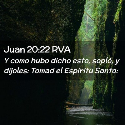 Picture 02 - Juan 20:22 RVA - Y como hubo dicho esto, sopló, y díjoles: Tomad - Bible Verse Picture