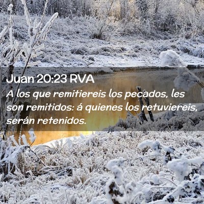Picture 02 - Juan 20:23 RVA - A los que remitiereis los pecados, les son - Bible Verse Picture