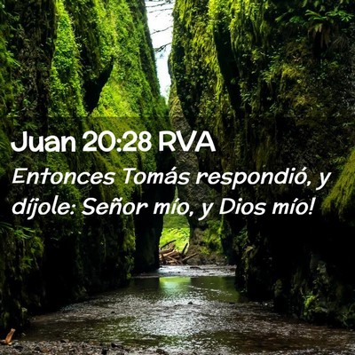 Picture 02 - Juan 20:28 RVA - Entonces Tomás respondió, y díjole: ­Señor - Bible Verse Picture