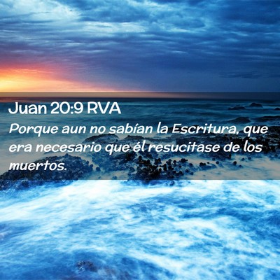 Picture 02 - Juan 20:9 RVA - Porque aun no sabían la Escritura, que era - Bible Verse Picture