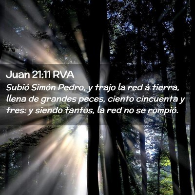Picture 02 - Juan 21:11 RVA - Subió Simón Pedro, y trajo la red á tierra, - Bible Verse Picture