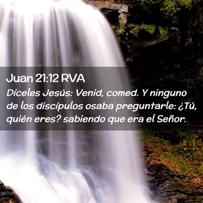 Picture 02 - Juan 21:12 RVA - Díceles Jesús: Venid, comed. Y ninguno de los - Bible Verse Picture