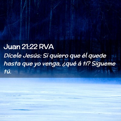 Picture 02 - Juan 21:22 RVA - Dícele Jesús: Si quiero que él quede hasta que - Bible Verse Picture