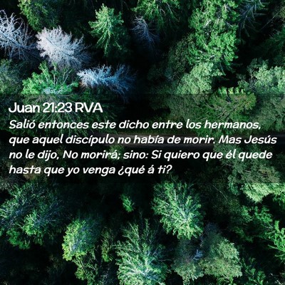 Picture 02 - Juan 21:23 RVA - Salió entonces este dicho entre los hermanos, - Bible Verse Picture