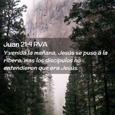 Picture 02 - Juan 21:4 RVA - Y venida la mañana, Jesús se puso á la ribera: - Bible Verse Picture