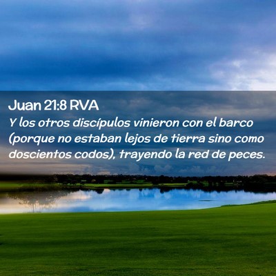 Picture 02 - Juan 21:8 RVA - Y los otros discípulos vinieron con el barco - Bible Verse Picture