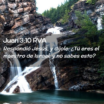 Picture 02 - Juan 3:10 RVA - Respondió Jesús, y díjole: ¿Tú eres el - Bible Verse Picture