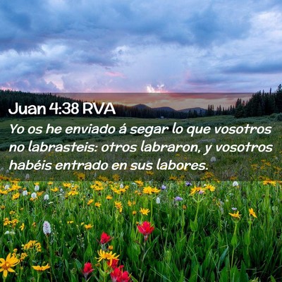 Picture 02 - Juan 4:38 RVA - Yo os he enviado á segar lo que vosotros no - Bible Verse Picture