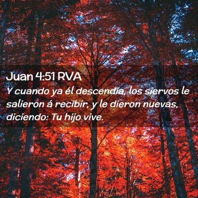 Picture 02 - Juan 4:51 RVA - Y cuando ya él descendía, los siervos le - Bible Verse Picture