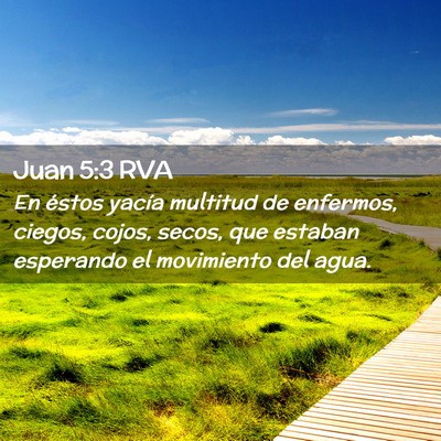 Picture 02 - Juan 5:3 RVA - En éstos yacía multitud de enfermos, ciegos, - Bible Verse Picture