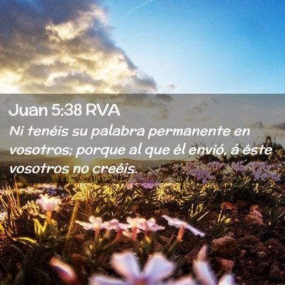 Picture 02 - Juan 5:38 RVA - Ni tenéis su palabra permanente en vosotros; - Bible Verse Picture