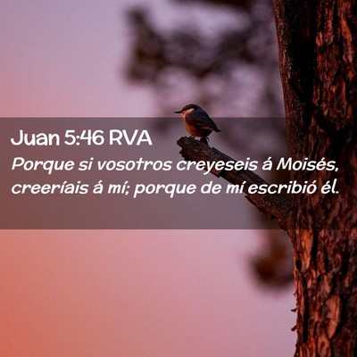 Picture 02 - Juan 5:46 RVA - Porque si vosotros creyeseis á Moisés, - Bible Verse Picture