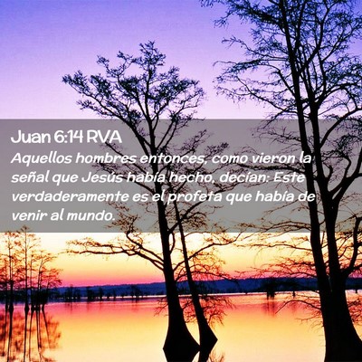 Picture 02 - Juan 6:14 RVA - Aquellos hombres entonces, como vieron la señal - Bible Verse Picture