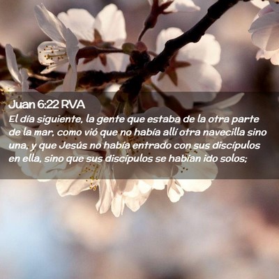 Picture 02 - Juan 6:22 RVA - El día siguiente, la gente que estaba de la otra - Bible Verse Picture
