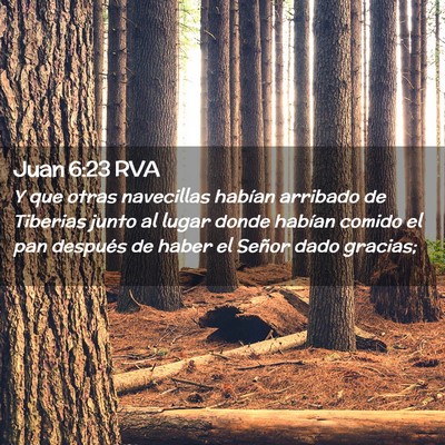 Picture 02 - Juan 6:23 RVA - Y que otras navecillas habían arribado de - Bible Verse Picture