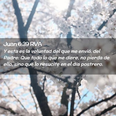 Picture 02 - Juan 6:39 RVA - Y esta es la voluntad del que me envió, del - Bible Verse Picture