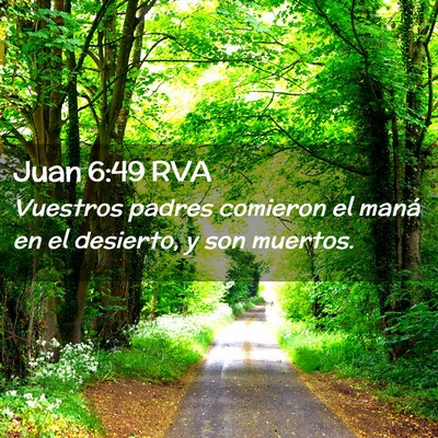 Picture 02 - Juan 6:49 RVA - Vuestros padres comieron el maná en el desierto, - Bible Verse Picture