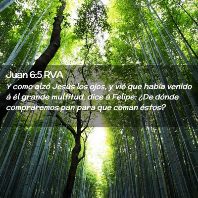 Picture 02 - Juan 6:5 RVA - Y como alzó Jesús los ojos, y vió que había - Bible Verse Picture