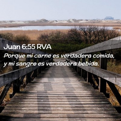 Picture 02 - Juan 6:55 RVA - Porque mi carne es verdadera comida, y mi sangre - Bible Verse Picture