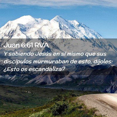Picture 02 - Juan 6:61 RVA - Y sabiendo Jesús en sí mismo que sus - Bible Verse Picture