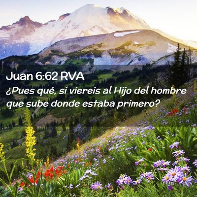 Picture 02 - Juan 6:62 RVA - ¿Pues qué, si viereis al Hijo del hombre que - Bible Verse Picture