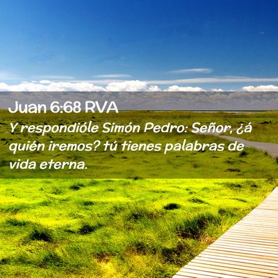 Picture 02 - Juan 6:68 RVA - Y respondióle Simón Pedro: Señor, ¿á quién - Bible Verse Picture
