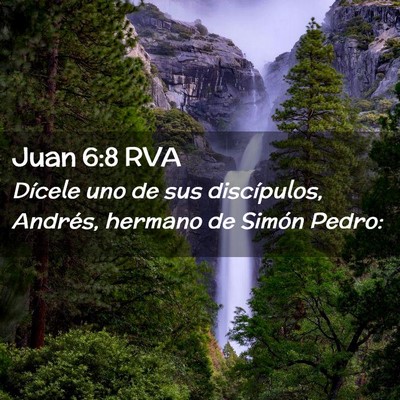 Picture 02 - Juan 6:8 RVA - Dícele uno de sus discípulos, Andrés, hermano - Bible Verse Picture