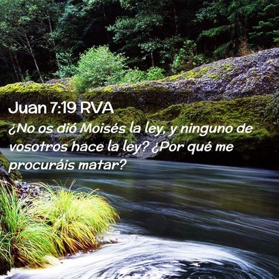 Picture 02 - Juan 7:19 RVA - ¿No os dió Moisés la ley, y ninguno de - Bible Verse Picture