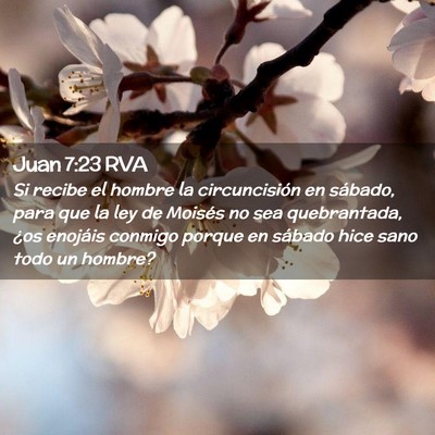 Picture 02 - Juan 7:23 RVA - Si recibe el hombre la circuncisión en sábado, - Bible Verse Picture