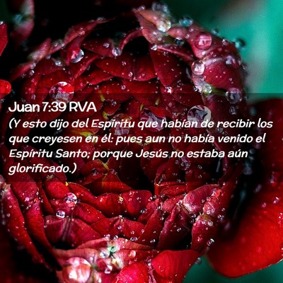 Picture 02 - Juan 7:39 RVA - (Y esto dijo del Espíritu que habían de recibir - Bible Verse Picture
