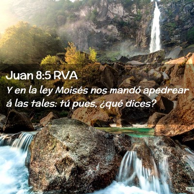 Picture 02 - Juan 8:5 RVA - Y en la ley Moisés nos mandó apedrear á las - Bible Verse Picture