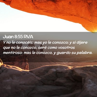 Picture 02 - Juan 8:55 RVA - Y no le conocéis: mas yo le conozco; y si dijere - Bible Verse Picture