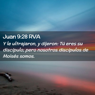 Picture 02 - Juan 9:28 RVA - Y le ultrajaron, y dijeron: Tú eres su - Bible Verse Picture