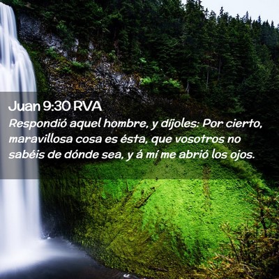Picture 02 - Juan 9:30 RVA - Respondió aquel hombre, y díjoles: Por cierto, - Bible Verse Picture