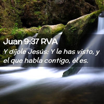 Picture 02 - Juan 9:37 RVA - Y díjole Jesús: Y le has visto, y el que habla - Bible Verse Picture